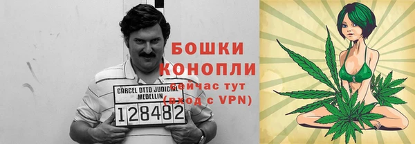 соль ск Пестово