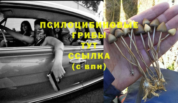 ГАЛЛЮЦИНОГЕННЫЕ ГРИБЫ Алексеевка