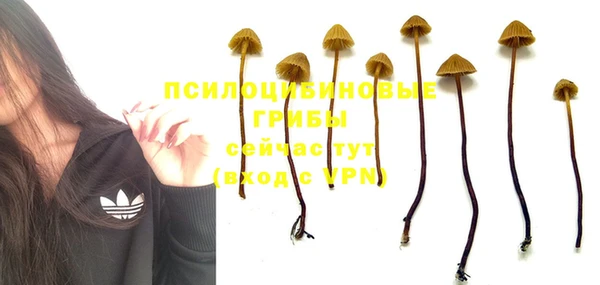 ГАЛЛЮЦИНОГЕННЫЕ ГРИБЫ Алексеевка