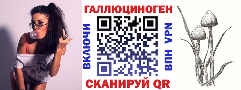 купить наркоту  Таруса  Псилоцибиновые грибы Magic Shrooms 
