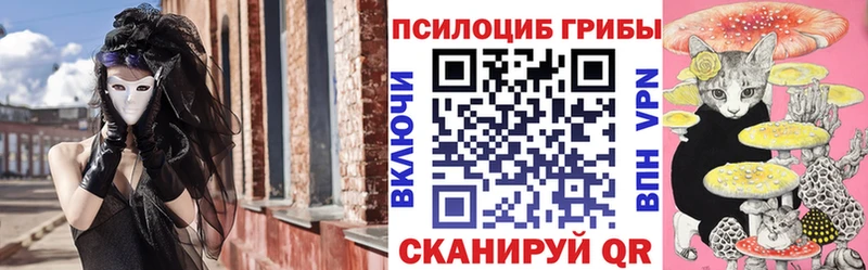 Галлюциногенные грибы Psilocybe Таруса